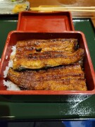浜名湖の鰻屋はじめ
